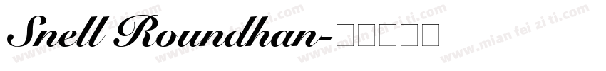 Snell Roundhan字体转换